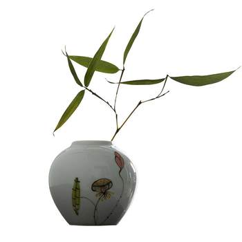 Jingdezhen hydroponic ceramic small vase combination for home use