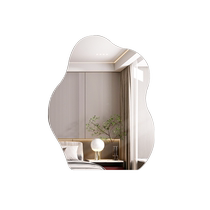 Cloud Duo Intelligent Led Makeup Miroir Mur monté en miroir Dresser MIRROR HANGING WALL STYLE WITH LAMP LUMINOUS PROFILED DRESSER