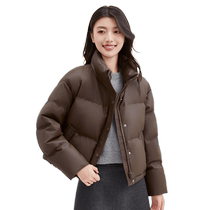 Duck Down Jacket Womens Down Jacket 2024 Winter New Arrival Short Stand Collar Casual Fashion Versatile Jacket A