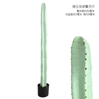 Светло -зеленая лента