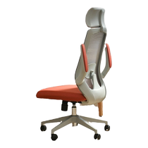 Signature computer chair home study chair study desk student writing office reclining seat ergonomic chair
