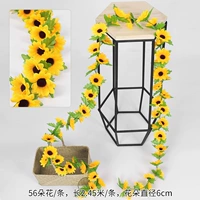 56 Солнце Цветочная лоза