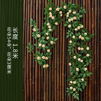 Викторианские будки конфеты шампанский цвет