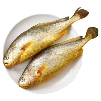 Three-piece large yellow croaker, fresh and frozen without processing