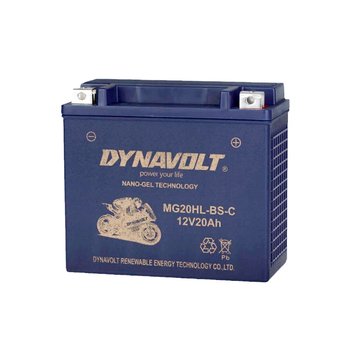Motorcycle battery honda gold wing lion