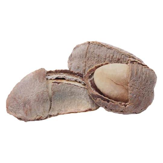 新货坚果鲍鱼果新疆发货沙漠果500g全国包邮孕妇坚果巴西果栗零食