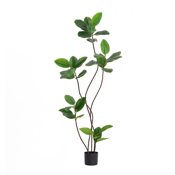 Home high-end decorative green plants simulated rubber trees