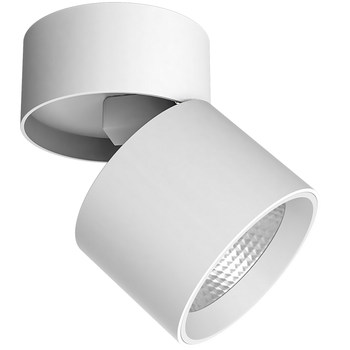 Adjustable angle full spectrum cob surface mounted ceiling spotlight
