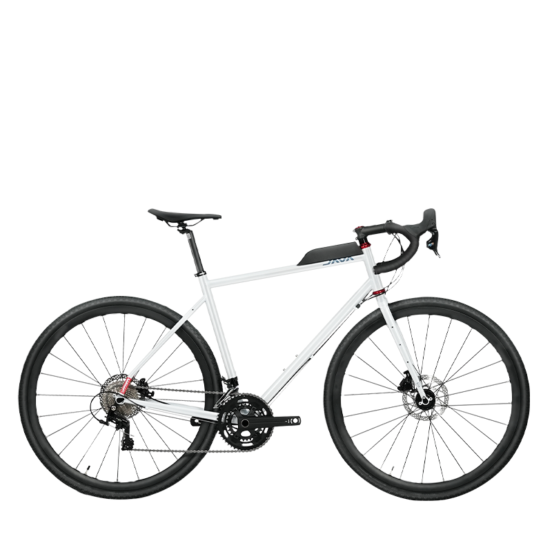 【RITAO CHAN公式アカウント04】◆端渓硯（鷓鴣斑・蕉葉白／十吋） Heliconia 'Variegated Nickeriensis' 斑葉鳥蕉（不能水培）