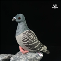 Новый продукт серый голубь [аутентичный продукт без недостатков]