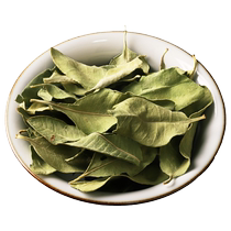 Shandu Apocynum Chinese medicinal material 500g Xinjiang Apocynum leaf tea is not wild fresh sun-dried product