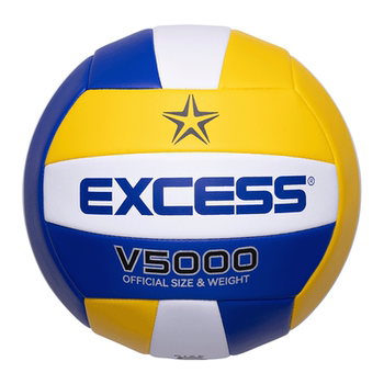 Volleyball standard no. 5 for special competition training for high school entrance examination