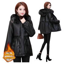 The new Korean version of the great fur collar plus suede leather cotton clothes 2023 New Korean version to overcome fashion winter jacket