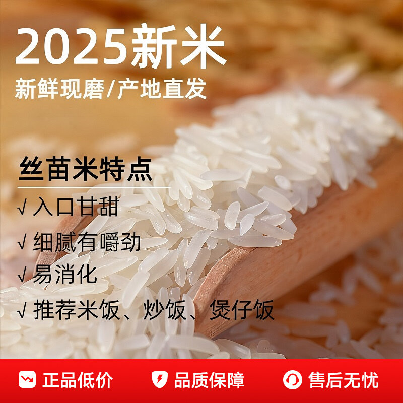 Lvbao tribute rice 1 jin silk seedling