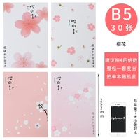 [B5樱花随机]
