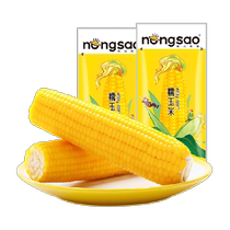 (Soft and waxy) Northeast Farmer’s Sister Vacuum Double Bag Yellow Glutinous Corn Cob 8 Count 1600g