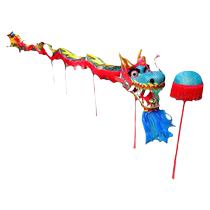 Sports meeting entrance creative props for children primary school students multi-person opening dance durable Chinese dragon dance and dragon performance special