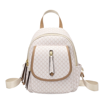 Spring and summer women bauha Han edition double shoulder bag 2024 new package female senior travel package fashion cosmetics small backpack