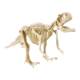 2nd Grade Science Dinosaur Fossil Archaeological Digging Toy