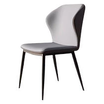 Sen Zong Nordic Style Light Luxury Dining Chair Modern Simple Backrest Chair Internet Celebrity Negotiation Manicure Chair Home Restaurant Stool