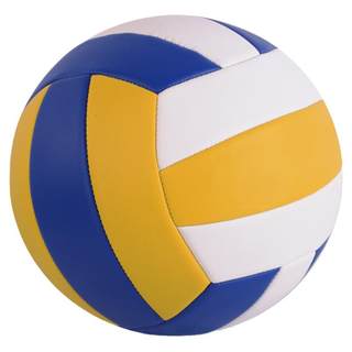 Primary school students' volleyball volleyball high school entrance examination volleyball