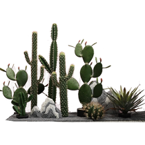 Stylish Impression Simulation Cactus Landscaping Indoor Landscape Staircase Window Decoration Large Fake Cactus Plant