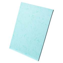 ຝາກະດາດຫນັງ texture paper A4 binding cover hard shell paper A3++ cover paper flat leather texture paper light blue lake blue pink 180g document binding phoenix tail pattern color leather texture cardboard handmade