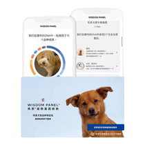 WisdomPanel Weath Pet Dog with Genetic testing Service Fсорт