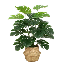 Advanced simulation green plants small high-end light luxury living room desktop ornaments turtle back indoor fake plants floor-standing flower landscaping