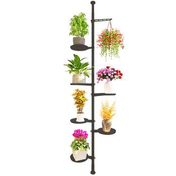 ຊັ້ນວາງດອກໄມ້ເທິງຫາລຸ່ມສຸດລະບຽງຫ້ອງຮັບແຂກໃນລົ່ມປ່ອງຢ້ຽມ sill succulent artifact ສີຂຽວ rack ພືດຫ້ອຍ orchid hanging pot rack