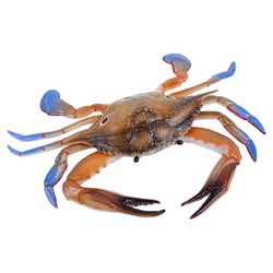 Simulated Hermit Crab Model Marine Animal Children's Toy Crab Ornament Photography Prop Decorative Ornament