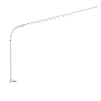 Clip-on eye protection learning lamp