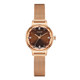 Julishi niche luxury watch