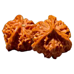 正奔三棱核桃- Top 500件正奔三棱核桃- 2026年2月更新- Taobao