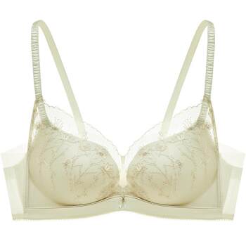 Manifen dragonfly bra sexy lace embroidered bra