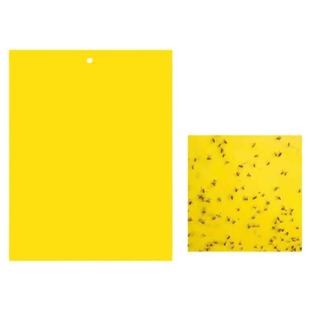 Yellow board greenhouse orchard home indoor