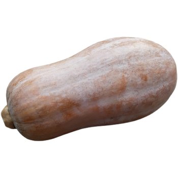 Fresh and authentic guangxi miben farm home-grown old pumpkin