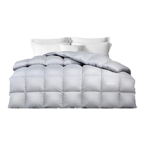 梦洁家纺95羽绒被子被芯双人加厚保暖美洲雁鸭绒冬被春秋被