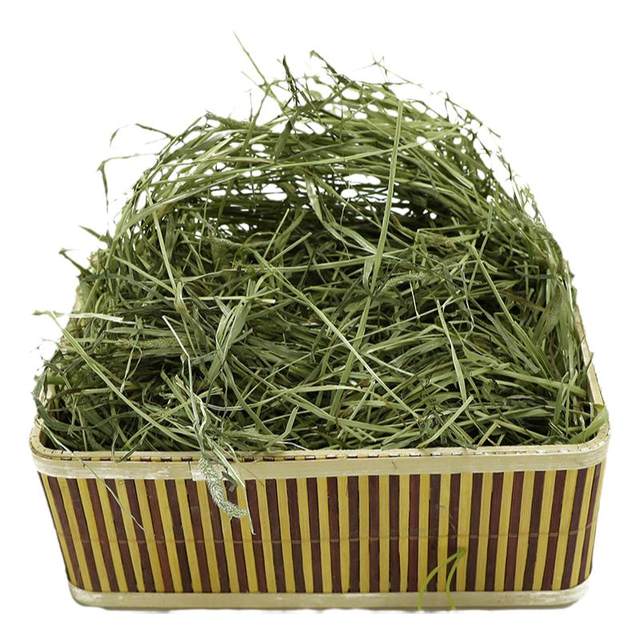 Timothy rabbit guinea pig chinchilla grass hay