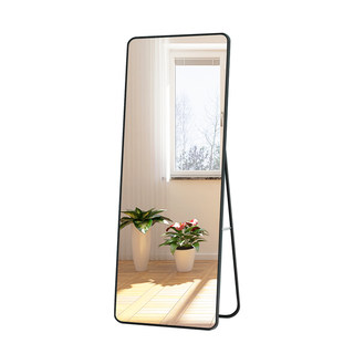 Internet celebrity bedroom household three-dimensional wall-mounted full-length mirror for girls