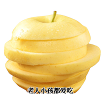 Yantai Huang Marshal Apple Fruit de la farine fraîche raclant de lor - beau bébé a complété lensemble des 10 kg pendant la saison