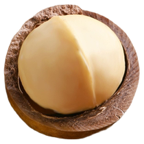 云南夏果特产无添加鲜夏威夷果自然奶香味每日坚果零食小吃带壳