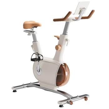 Felton double flywheel spinning exercise bike