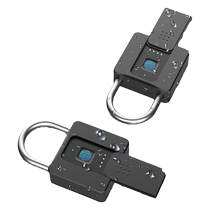 Outdoor waterproof fingerprint padlock smart electronic small lock remote outdoor warehouse door anti-theft key code lock