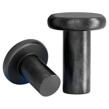 Iron-colored flat head solid rivets