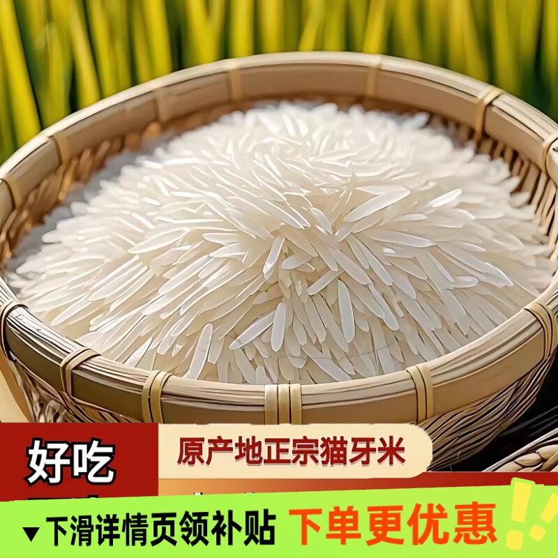 Cat tooth rice long grain wholesale