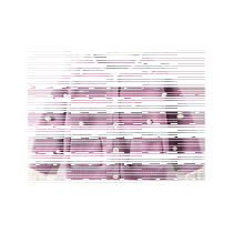 Fanhunting Girls Knitted Cardigan Autumn Clothes 2024 New Style Childrens Sweater Jackets Baby Tops Versatile Spring and Autumn