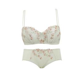 Greer ເຕົ້ານົມຂະຫນາດນ້ອຍ Push Up Half Cup Bra Set ສໍາລັບແມ່ຍິງສະດວກສະບາຍແລະເບິ່ງ Bra Set