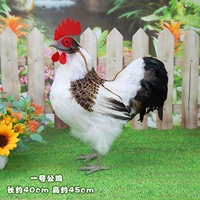 Петух №1 – Белый Петух