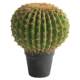 Simulated cactus potted sand plant green plant landscaping
